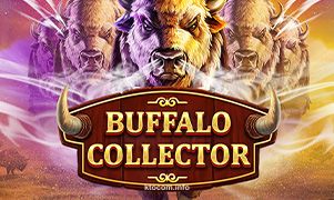 Buffalo Collector kto
